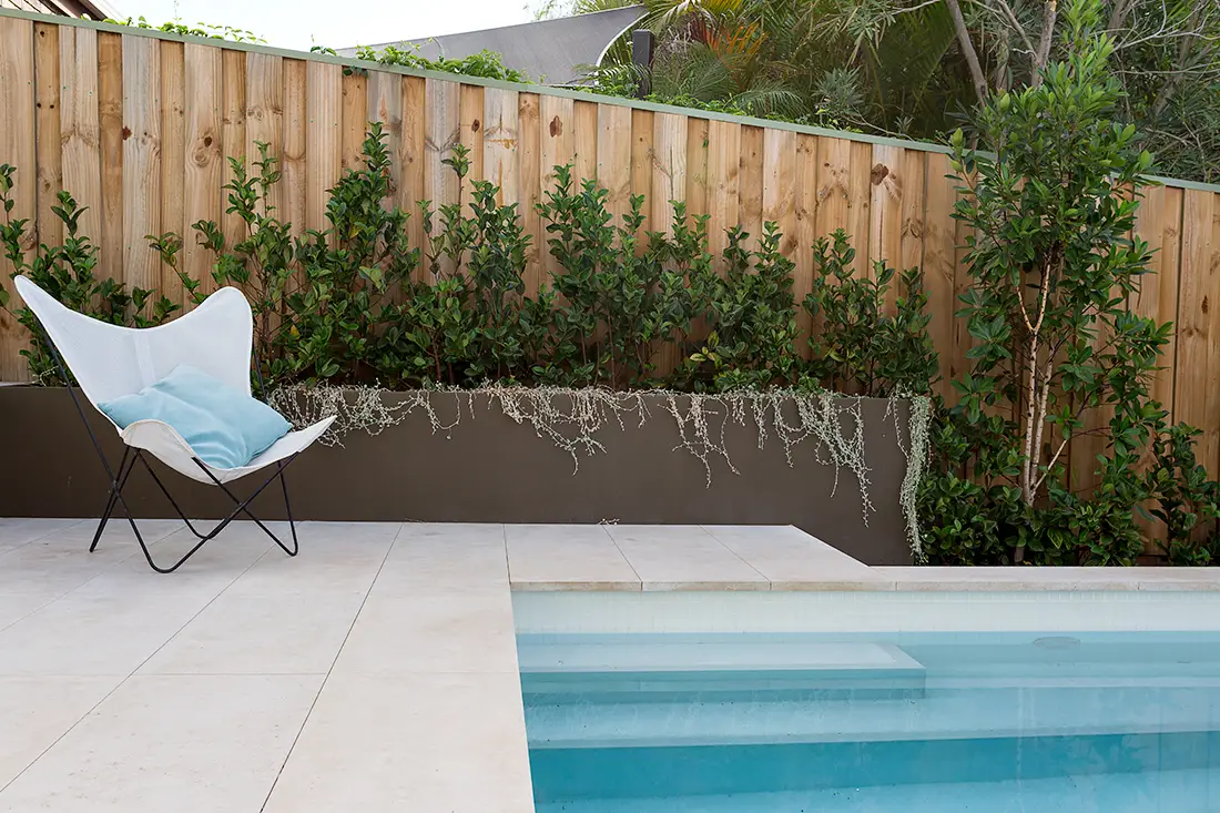 A contemporary landscape with a tiled pool and simple layered planting