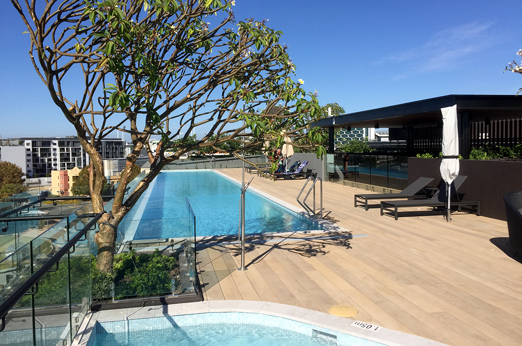 The rooftop pool and landscaping at Botanical Apartments