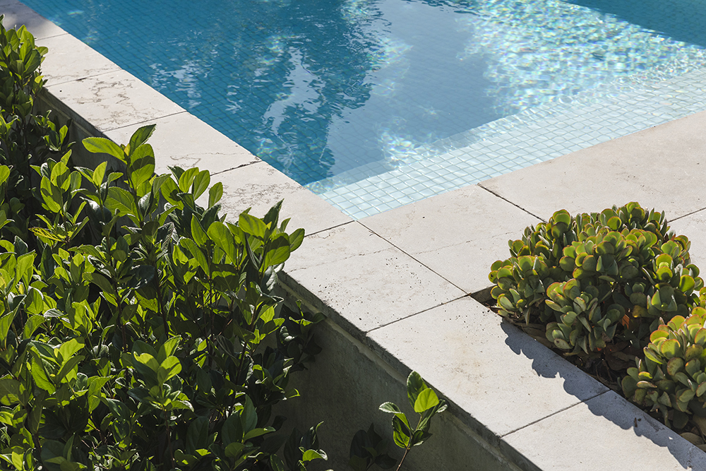 a closeup of a tiled concrete pool and the surrounding planting