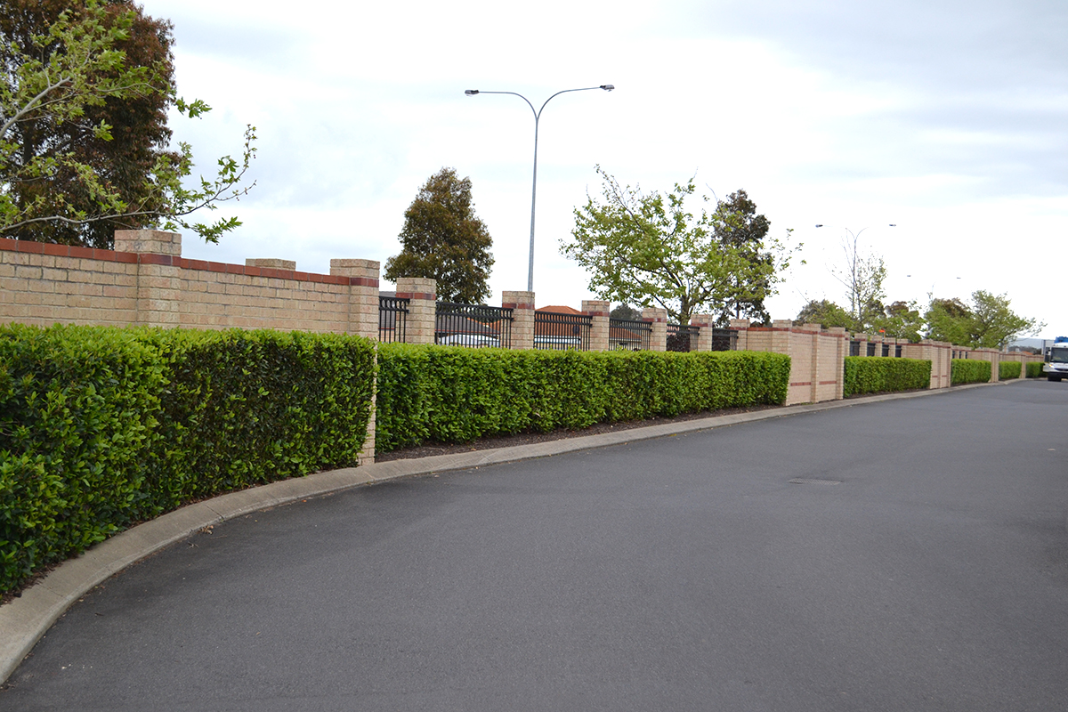 bethanie-fields-aged-care-maintenance-tim-davies-landscaping