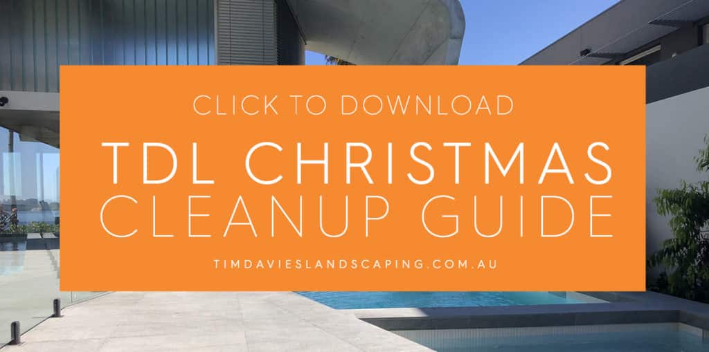 Christmas Holidays Landscaping Guide