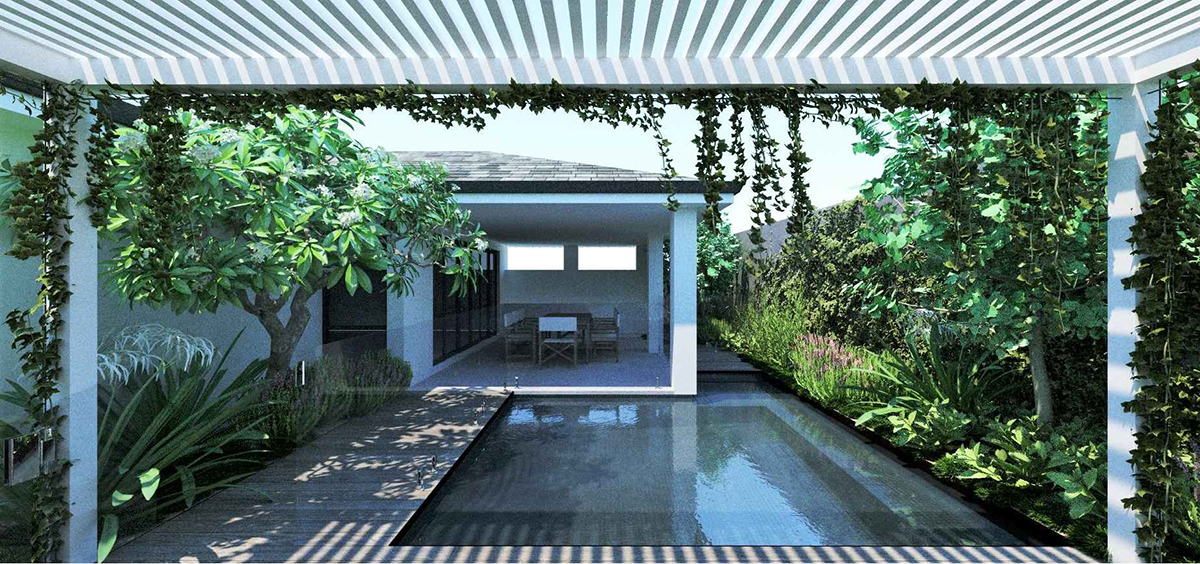 A tropical pool and landscape design for a small garden in Mount Pleasant