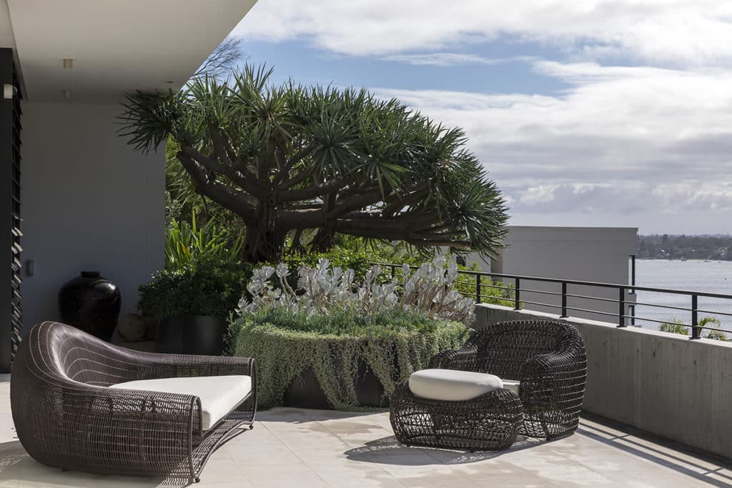 A seating area next to large planters on a balcony overlooking Mosman bay
