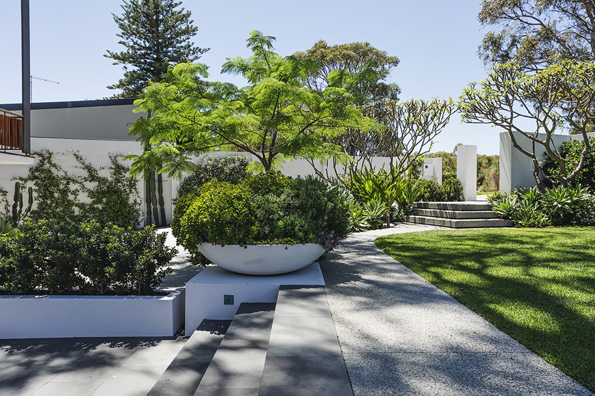 Front entrance and planter bowls with a mix of curves and corners.