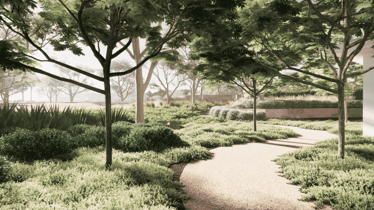 A pathway through the trees surrounded by native grasses and plants.