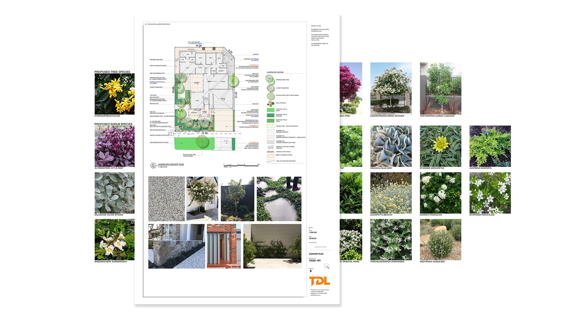 landscape plan and plant selections