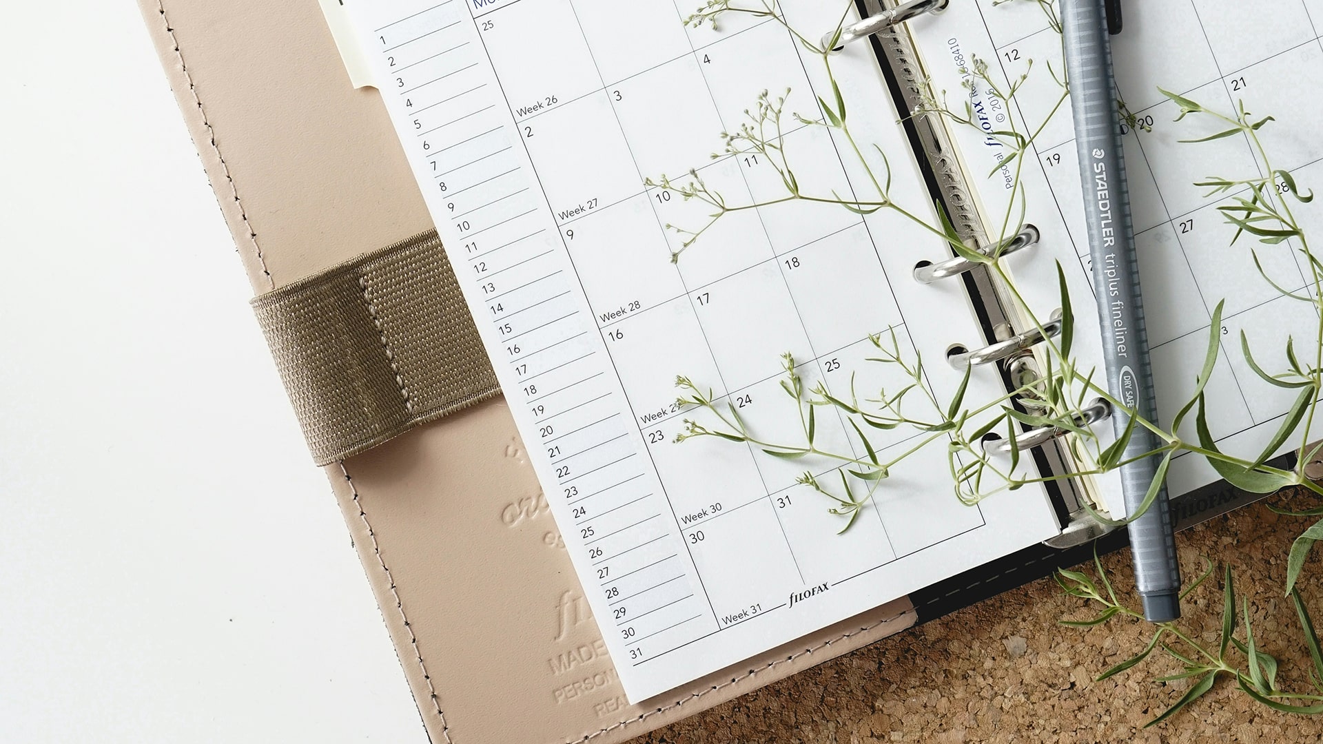 calendar/diary