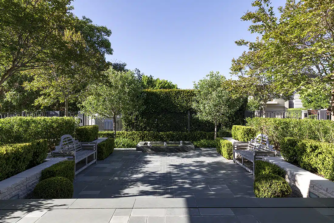 Yard with planted hedge