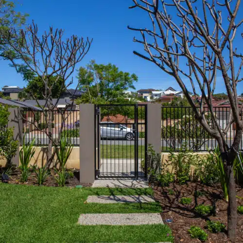 Front yard with fence