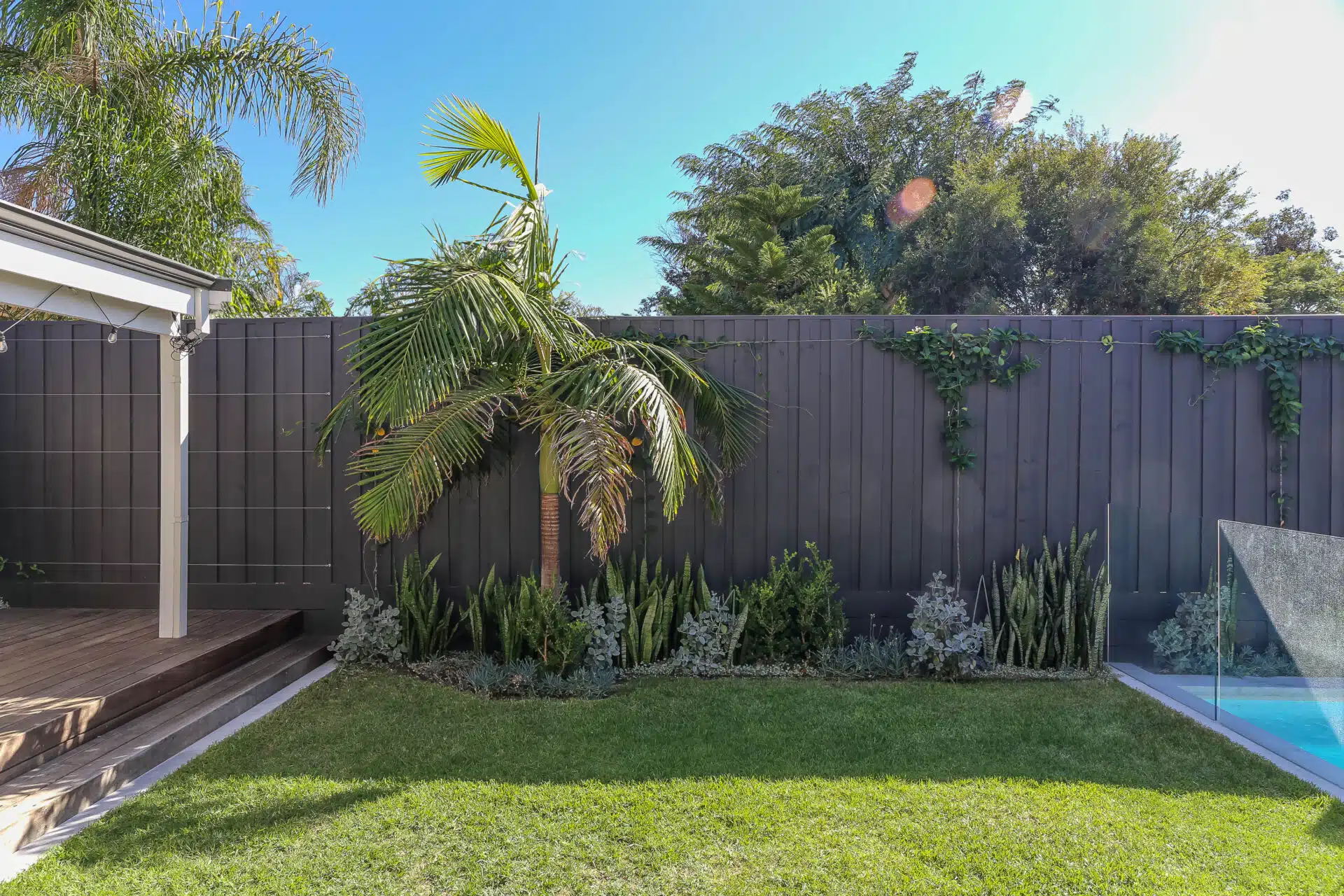 Backyard with pinelap fence