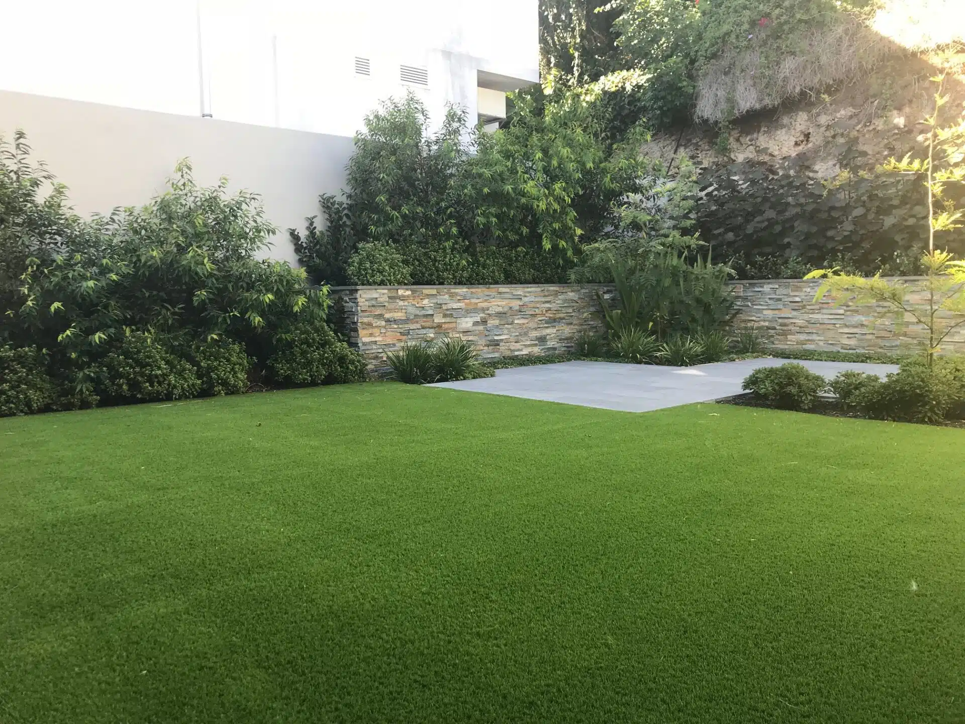 Backyard lawn