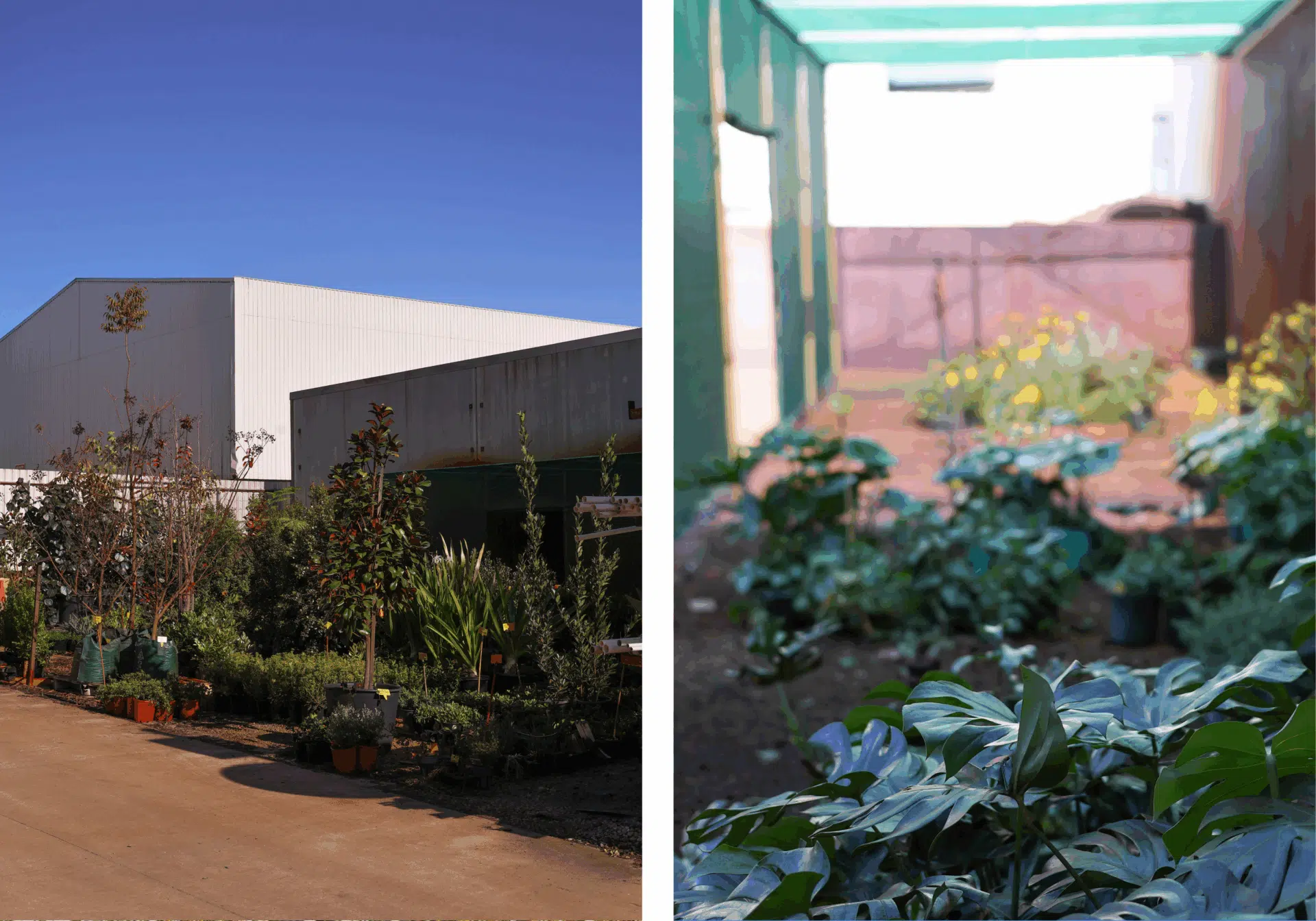 concrete pool design and builds