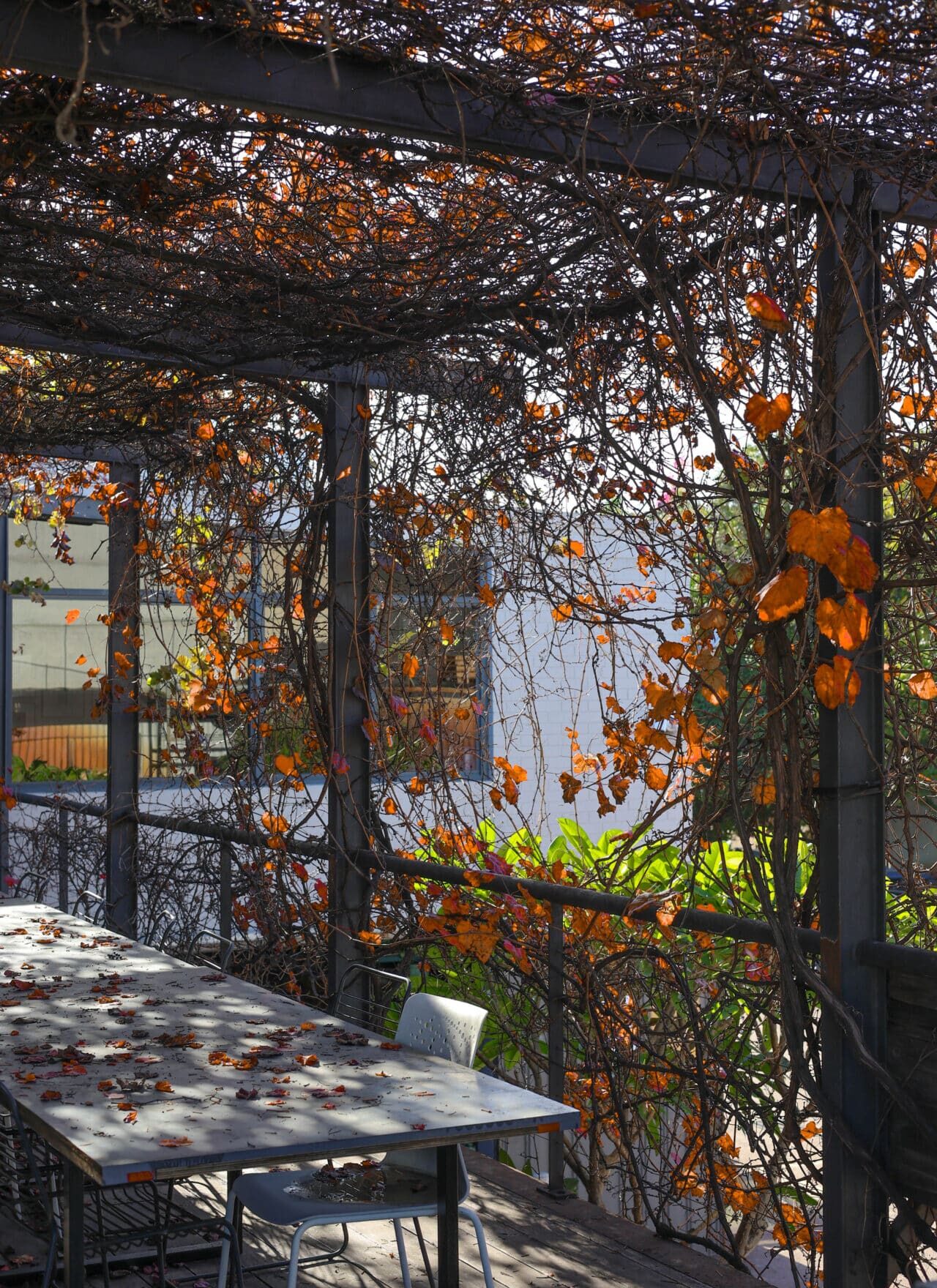 commercial landscape architecture and construction